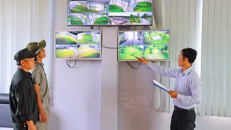 Nhân viên kỹ thuật giám sát khu vực các chuồng nuôi sếu đầu đỏ thông qua hệ thống camera giám sát 24/7. (Ảnh: Ban tổ chức cung cấp)