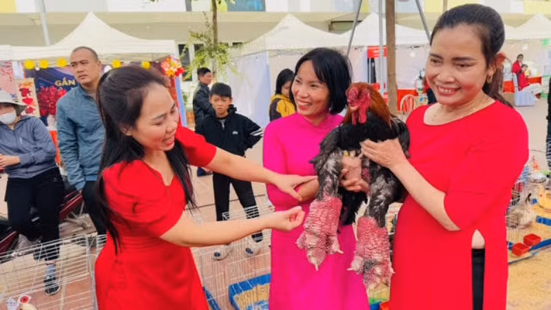 Rất nhiều người dân đã chụp với những chú gà Đông Tảo có đôi chân đặc trưng khác biệt.