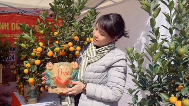 Quất bonsai là một lựa chọn của nhiều người vì giá tiền hợp lý, gọn gàng mà vẫn đẹp.