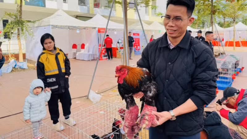 Nhiều du khách tỏ ra phấn khích và đề nghị được chụp ảnh với các thí sinh gà.