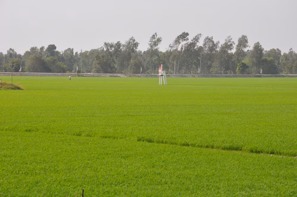 Nơi diễn ra trận đánh Ấp Bắc.