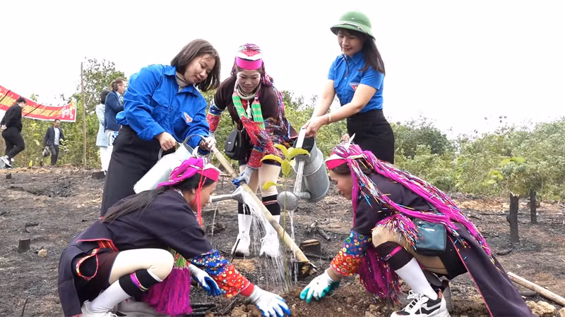 1.300ha rừng là diện tích mà tỉnh Quảng Ninh đã trồng mới trong 2 tháng đầu năm 2025. 