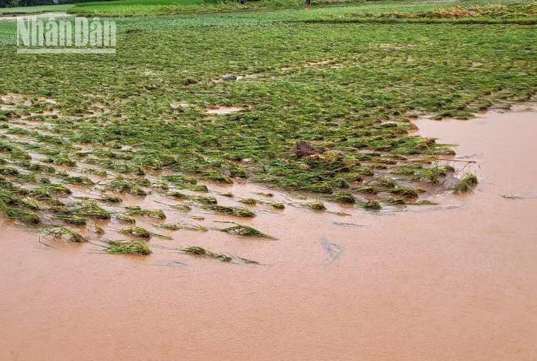 Mưa lớn kéo dài, giao thông ở Sơn La tiềm ẩn nhiều nguy hiểm ảnh 6