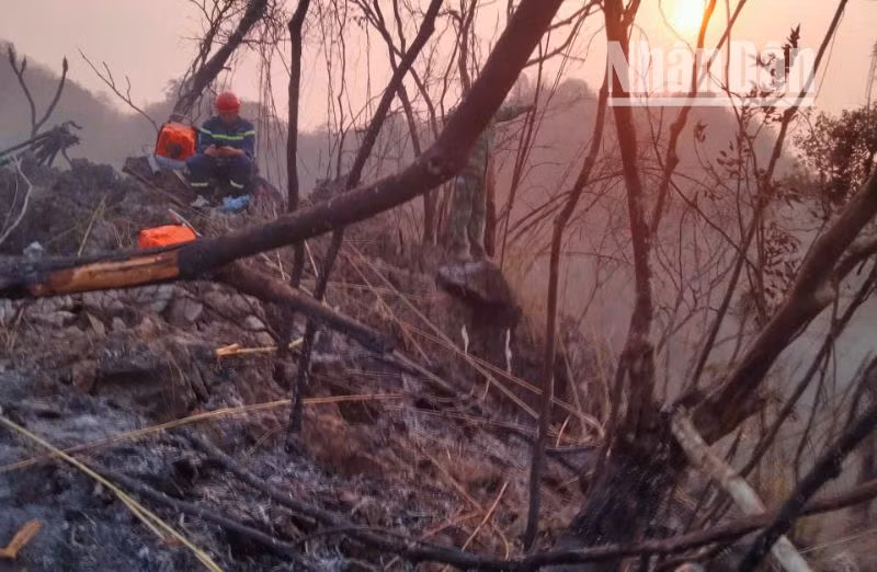 Hiện tại, cháy rừng ở bản Boong Xanh, xã Chiềng Pằn, huyện Yên Châu đã được dập tắt. (Ảnh: DƯƠNG HẢI) Hiện tại, cháy rừng ở bản Boong Xanh, xã Chiềng Pằn, huyện Yên Châu đã được dập tắt. (Ảnh: DƯƠNG HẢI)