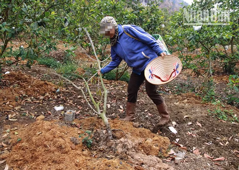 Cần làm rõ những sai phạm của 2 dự án lớn ở Sơn La ảnh 5