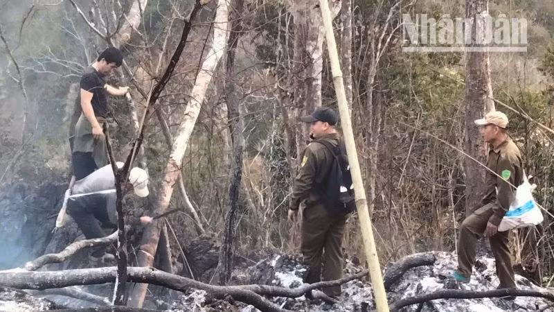 Đến khoảng 6 giờ sáng 28/3, cháy rừng tại xã Chiềng Pằn, huyện Yên Châu đã được khống chế. (Ảnh: DƯƠNG HẢI)