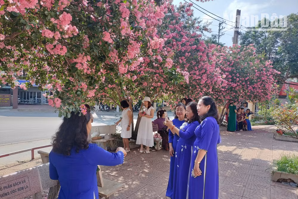 Vào mùa hoa Tường Vi khoe sắc, không chỉ các bạn trẻ đến chụp ảnh, check-in, mà còn có sự góp mặt của các bà, các mẹ với tà áo dài truyền thống của Việt Nam cũng đến để lưu giữ cho mình những bức ảnh dưới tán hoa Tường Vi.
