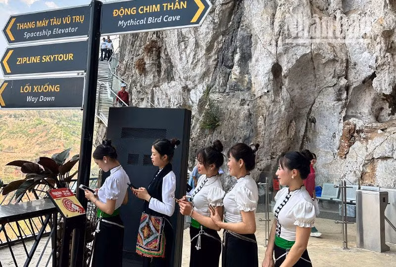 Khu du lịch Mộc Châu Island cho biết: Mỗi ngày, nơi đây có từ 1.200 đến 1.300 người đến tham quan, trải nghiệm và lưu trú. Trong đó, rất nhiều khách du lịch, trong đó có các bạn trẻ cũng trực tiếp trải nghiệm bảng gắn chíp NFC do Báo Nhân Dân lắp đặt tại khu vực cầu kính Bạch Long.