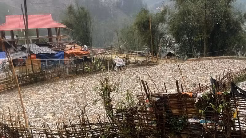 Mưa đá kéo dài khoảng 30 phút tại bản Nà Lầu, xã Mường É, huyện Thuận Châu, Sơn La. (Ảnh: TÙNG LÂM)