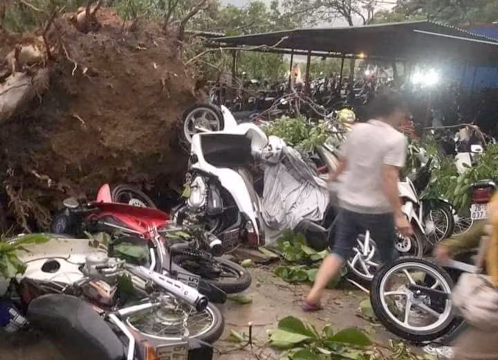 337 ngôi nhà ở Sơn La bị tốc mái, đổ sập do gió lốc ảnh 2