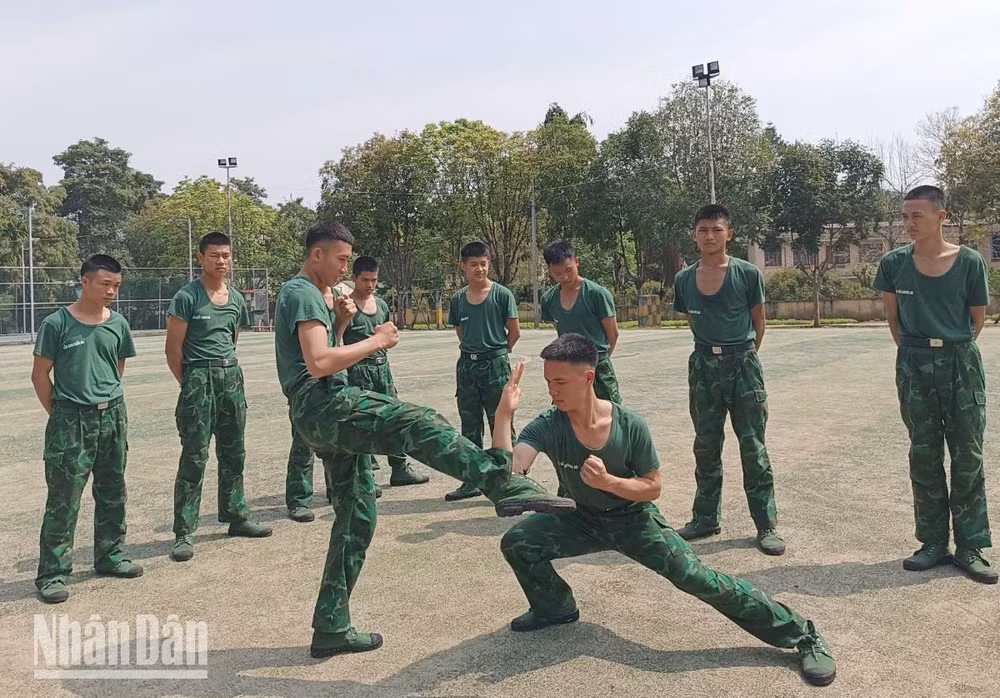 Các tiểu đội thi biểu diễn võ thuật.