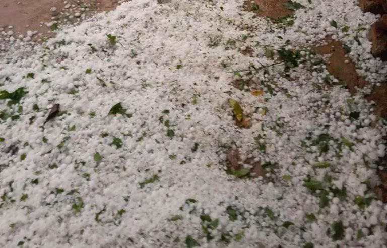 Mưa đá xảy ra chiều 25/3 với những viên đá kích cỡ to, nhỏ khác nhau đã gây ảnh hưởng tới nhà cửa, hoa màu của người dân các xã thuộc huyện Thuận Châu.