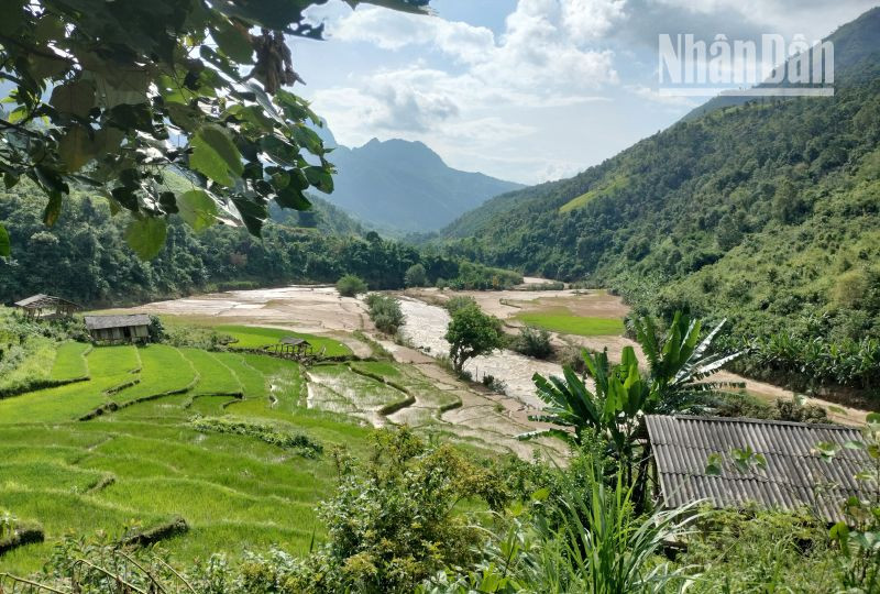 Theo phản ánh của xã, bản, người dân: Từ năm 2019 đến nay đã kiến nghị nhiều lần nhưng phía Công ty cổ phần đầu tư thủy điện Anpha vẫn chưa hỗ trợ, đền bù thiệt hại về hoa màu.