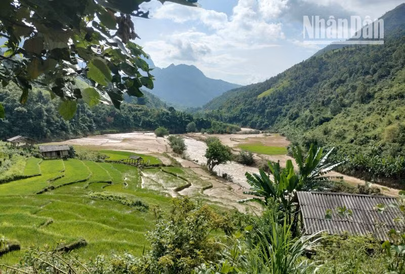 Theo phản ánh của xã, bản, người dân: Từ năm 2019 đến nay đã kiến nghị nhiều lần nhưng phía Công ty cổ phần đầu tư thủy điện Anpha vẫn chưa hỗ trợ, đền bù thiệt hại về hoa màu. Theo phản ánh của xã, bản, người dân: Từ năm 2019 đến nay đã kiến nghị nhiều lần nhưng phía Công ty cổ phần đầu tư thủy điện Anpha vẫn chưa hỗ trợ, đền bù thiệt hại về hoa màu.