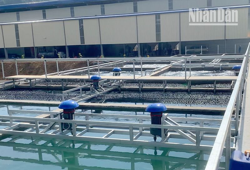 Công ty cổ phần chế biến cà-phê Sơn La đã có hoạt động san lấp, xây dựng các hạng mục từ tháng 7/2023.