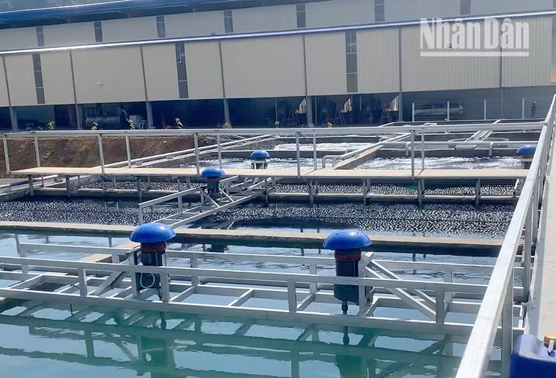 Công ty cổ phần chế biến cà-phê Sơn La đã có hoạt động san lấp, xây dựng các hạng mục từ tháng 7/2023.