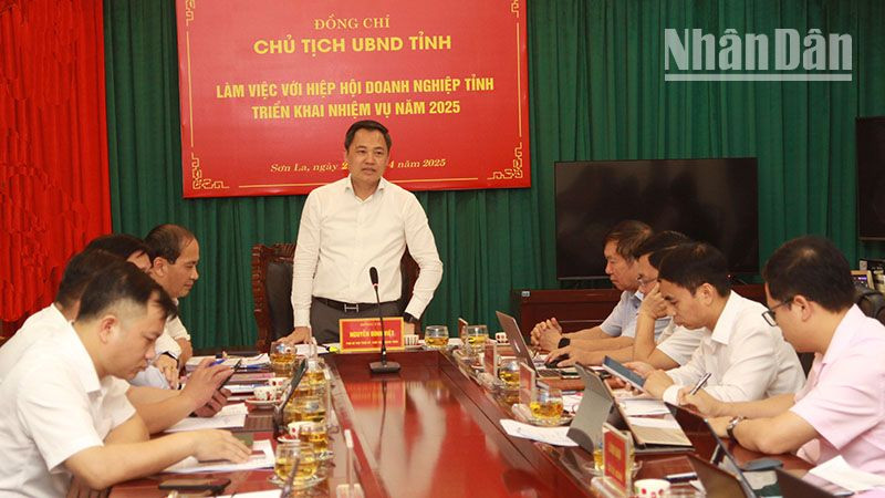 Đồng chí Nguyễn Đình Việt, Phó Bí thư Tỉnh ủy, Chủ tịch Ủy ban nhân dân tỉnh Sơn La phát biểu tại cuộc làm việc.