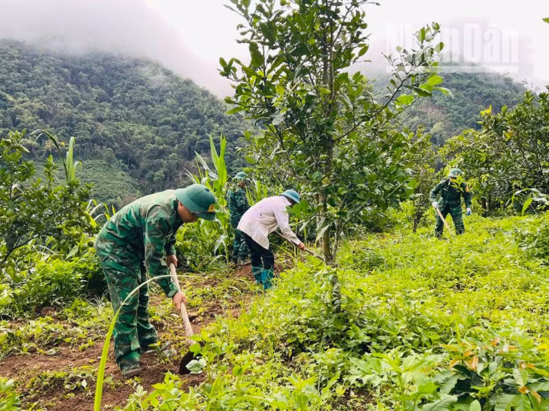Cán bộ, chiến sĩ Đồn Biên phòng Mường Lèo tổ chức giúp đỡ các gia đình chính sách.
