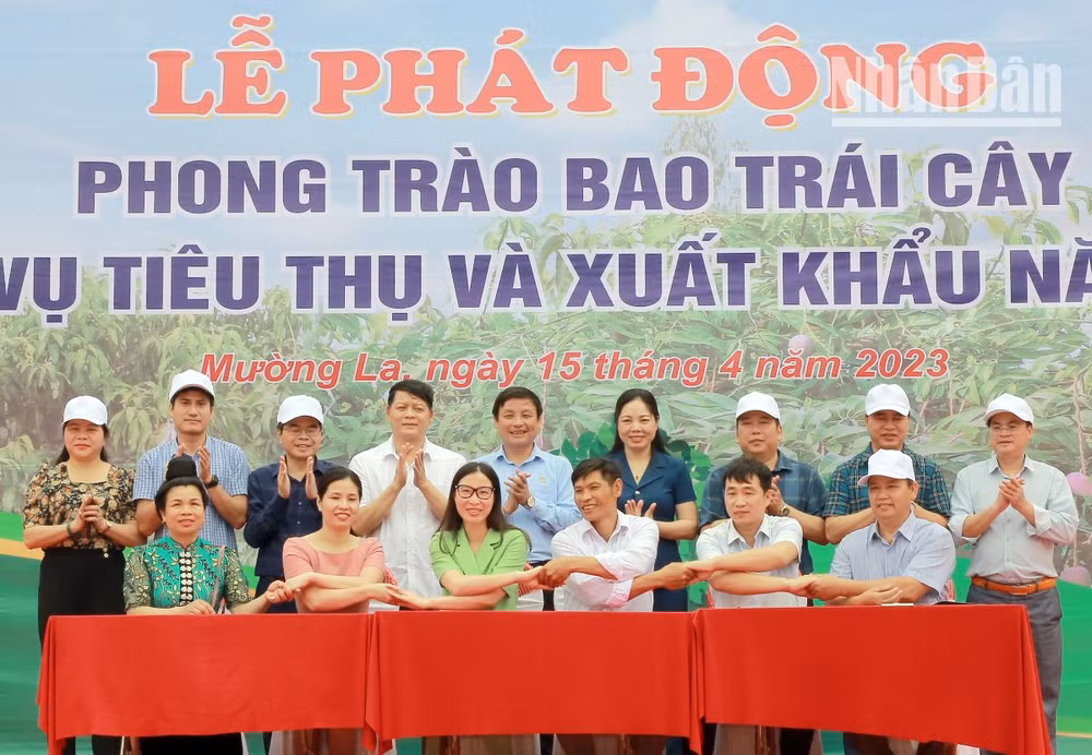 Đại diện các doanh nghiệp tiêu thụ, xuất khẩu, các hợp tác xã ký kết liên kết, tiêu thụ sản phẩm trái cây.
