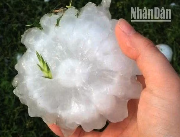 4.748 ngôi nhà ở Sơn La bị thiệt hại do mưa đá, gió lốc ảnh 3