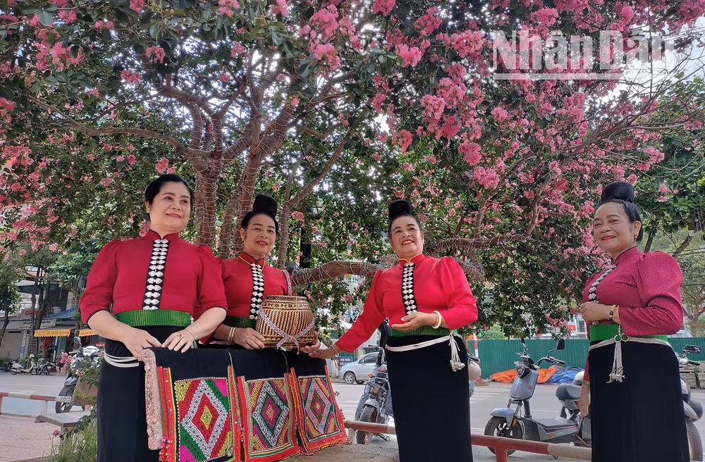Bộ trang phục áo cóm, khăn piêu truyền thống của đồng bào dân tộc Thái cũng được các bà, các mẹ tại các xã, bản của tỉnh Sơn La khoác lên mình để "khoe sắc" cùng những cánh hoa Tường Vi.