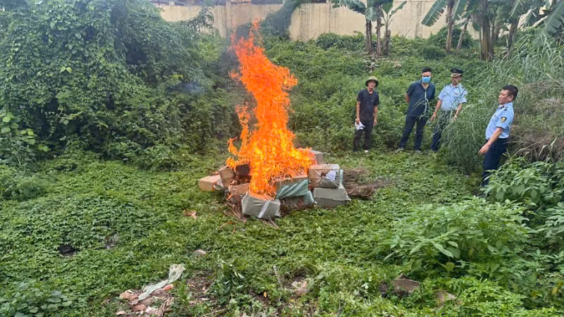 Lực lượng chức năng tiến hành tiêu hủy 300kg lòng lợn sấy khô không rõ nguồn gốc, xuất xứ.