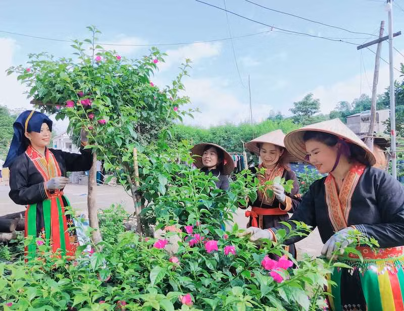 Người dân huyện miền núi Ba Chẽ chỉnh trang cảnh quan môi trường xanh, sạch, đẹp.