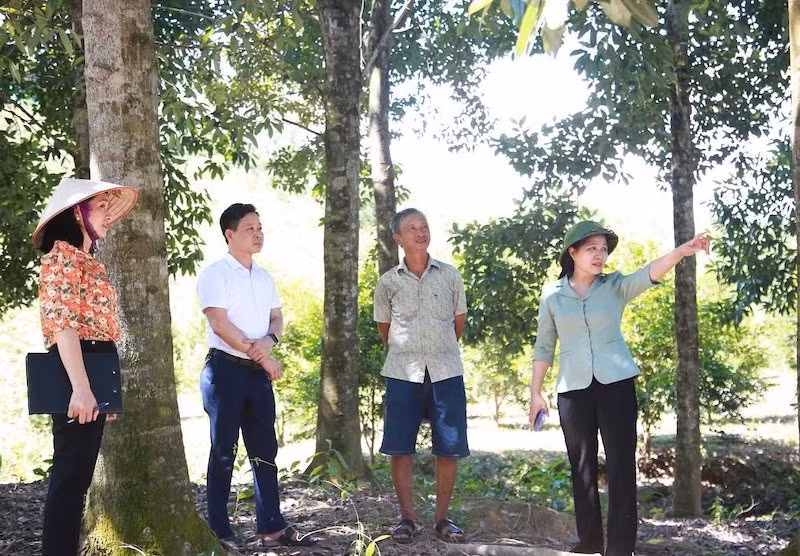 Đại biểu Quốc hội tỉnh Quảng Ninh Đỗ Thị Lan khảo sát việc thực hiện 3 Chương trình mục tiêu quốc gia tại huyện Tiên Yên.