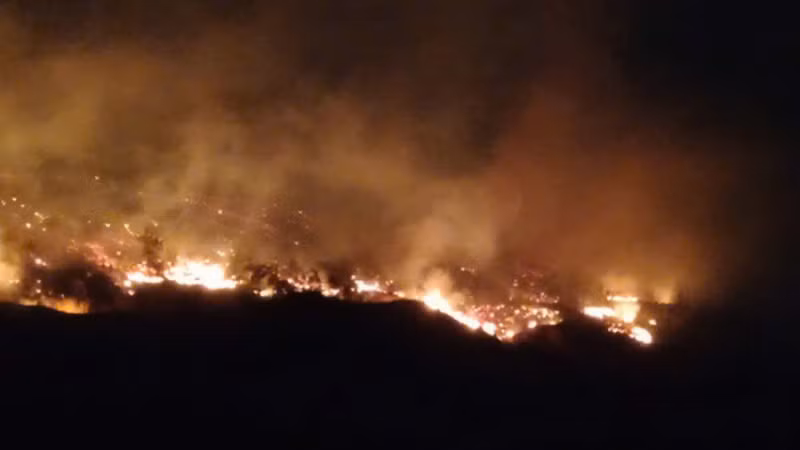 Cháy rừng ở khu vực Tiểu khu 291, thị trấn Bình Liêu, Quảng Ninh. (Ảnh do người dân cung cấp)