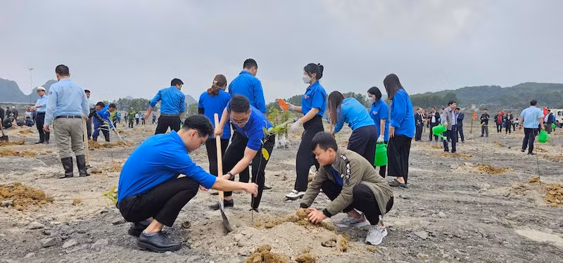 Lực lượng Đoàn viên thanh niên Công ty Than Núi Béo-Vinacomin tham gia trồng cây.
