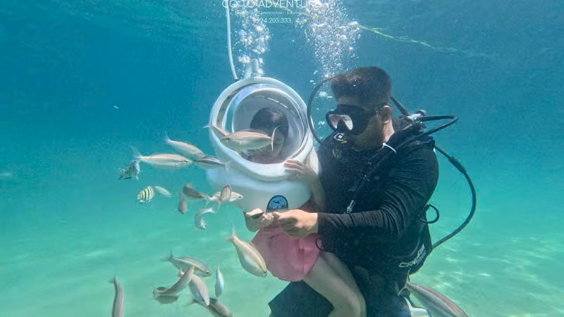 Môi trường biển của Cô Tô xanh, sạch với nhiều loại hải sản và động vật biển quý hiếm. Môi trường biển của Cô Tô xanh, sạch với nhiều loại hải sản và động vật biển quý hiếm.