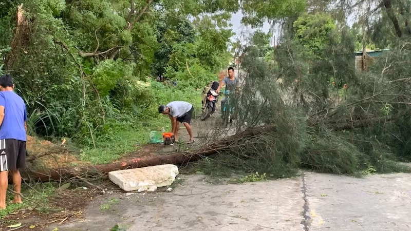Trên địa bàn xã Vĩnh Trung, Móng Cái một số cây xanh bị đổ, gãy do bão số 2.
