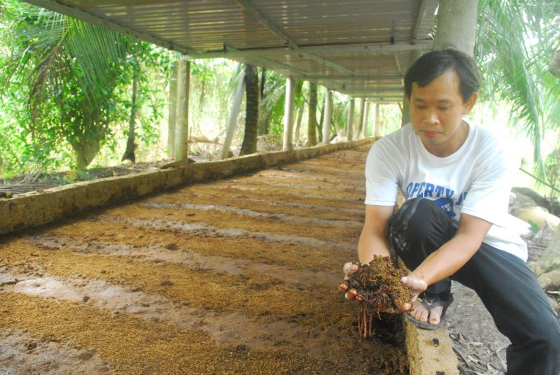 Mô hình nuôi trùn quế bằng phân bò của ông Nguyễn Công Vinh, huyện Châu Thành, tỉnh Tiền Giang theo nguyên lý kinh tế tuần hoàn.