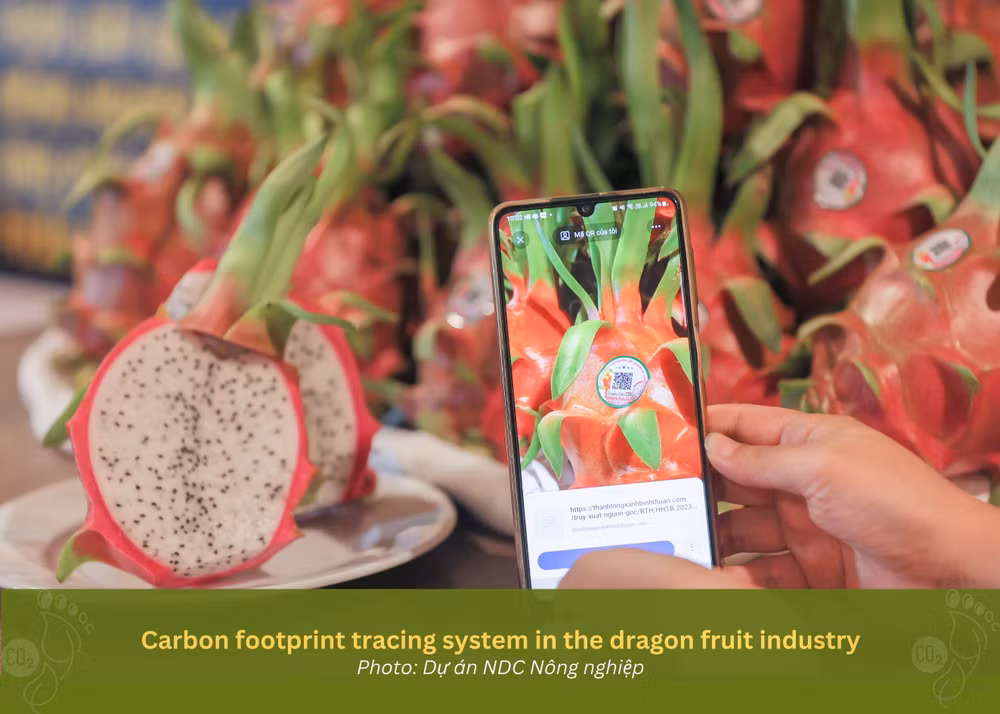 Hệ thống truy xuất "dấu chân carbon" trong ngành hàng thanh long.