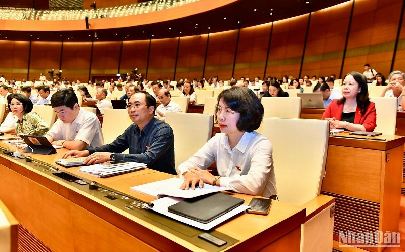 Các đại biểu Quốc hội dự phiên họp sáng 29/5. (Ảnh: ĐĂNG KHOA)