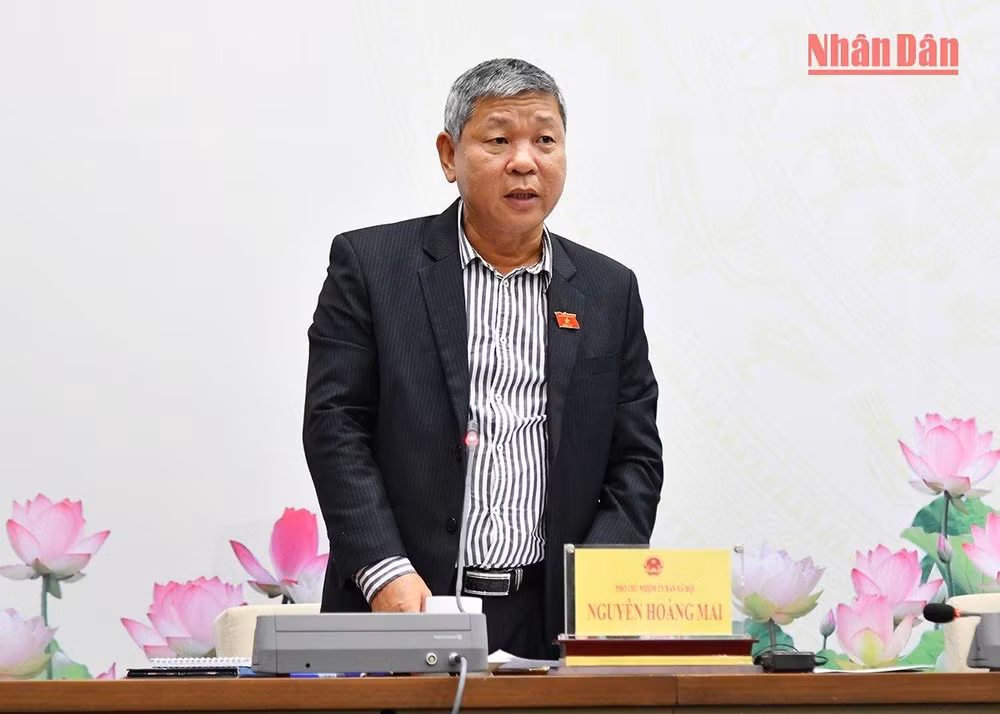 Phó Chủ nhiệm Ủy ban Xã hội của Quốc hội Nguyễn Hoàng Mai trả lời câu hỏi của phóng viên tại buổi họp báo. (Ảnh: THỦY NGUYÊN)