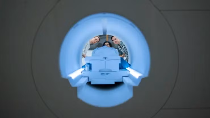 Bộ giải mã ngữ nghĩa được các nhà nghiên cứu thuộc Đại học Texas đào tạo dựa trên hàng chục giờ dữ liệu hoạt động của não bộ từ những tình nguyện viên, được thu thập trong máy quét fMRI. (Ảnh: Đại học Texas)