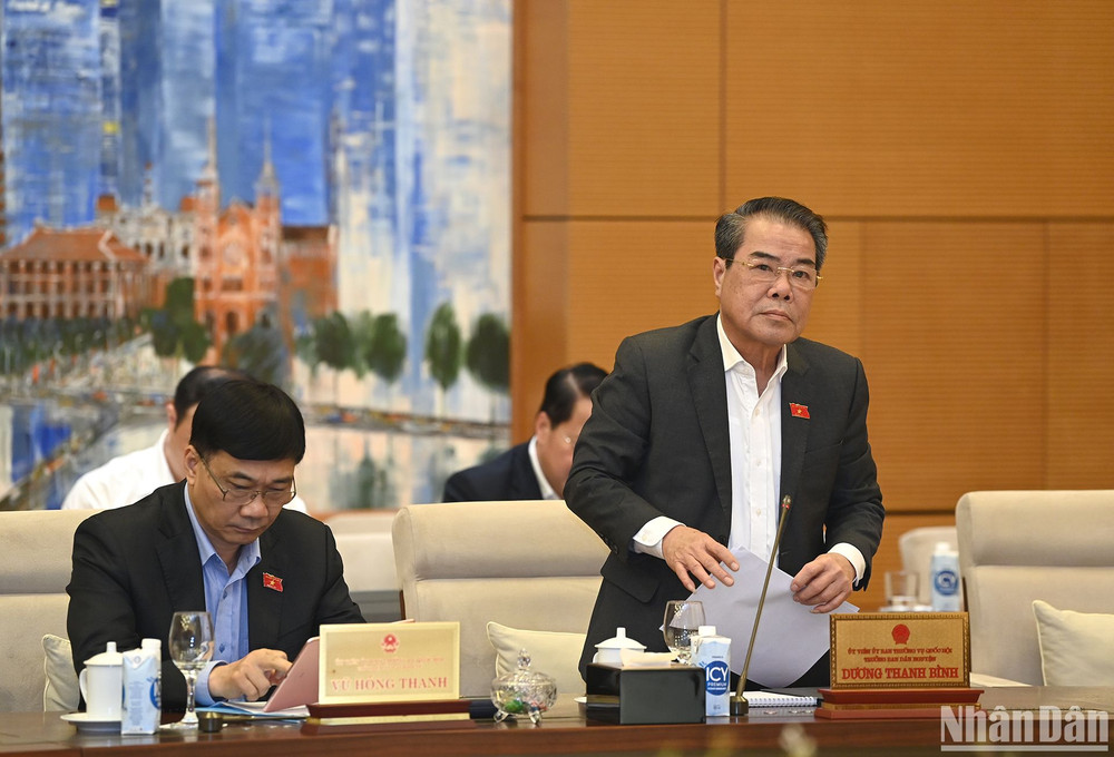 Trưởng Ban Dân nguyện Dương Thanh Bình báo cáo tại phiên họp. Ảnh: DUY LINH