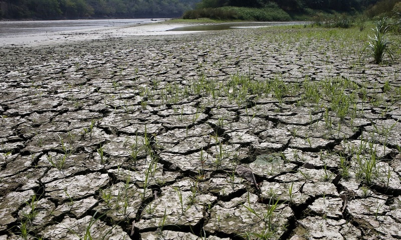 El Nino khiến các hiện tượng thời tiết cực đoan trở nên trầm trọng hơn. (Ảnh minh họa: Reuters)