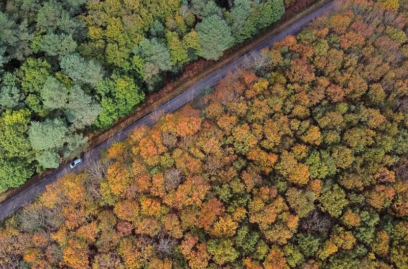 Rừng Gavre ở Le Gavre gần thành phố Nantes, Pháp nhìn từ trên cao, ngày 26/10/2022. (Ảnh: Reuters)