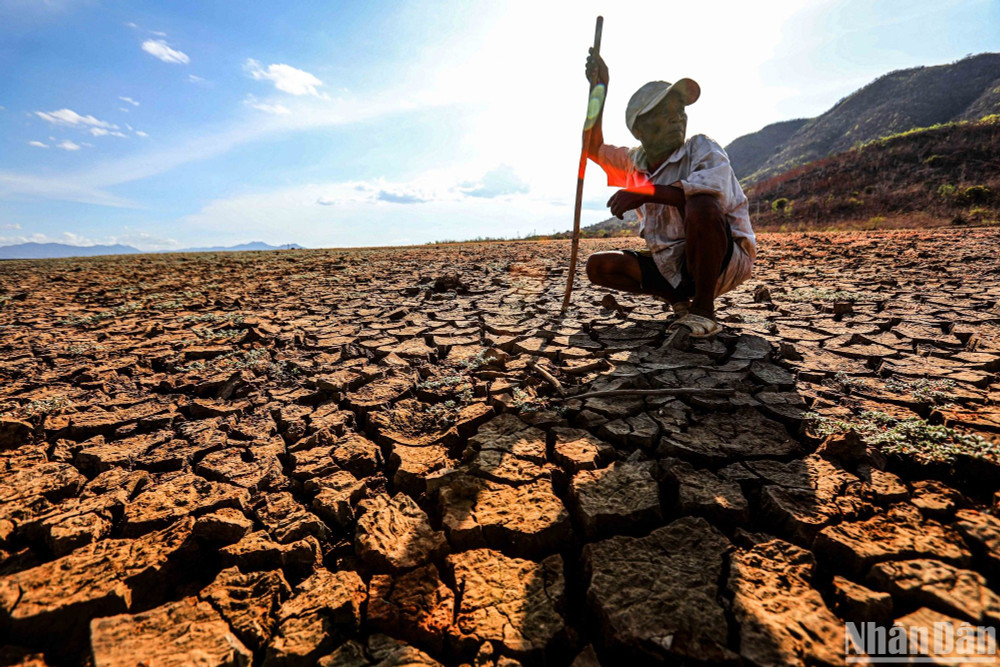Tuyệt đối không chủ quan trong ứng phó với El Nino | Báo Nhân Dân điện tử