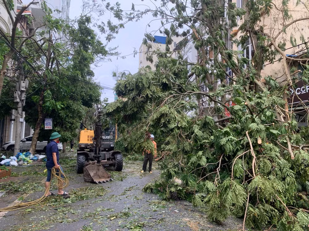 Các lực lượng khẩn trương thu dọn cây đổ trên đường phố Hải Phòng. (Ảnh: Ngô Quang Dũng)