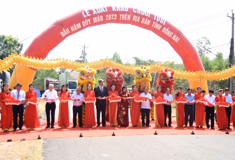 Các đại biểu thực hiện nghi thức xuất lô hàng chuối tươi đầu năm Quý Mão 2023 sang thị trường Trung Quốc.