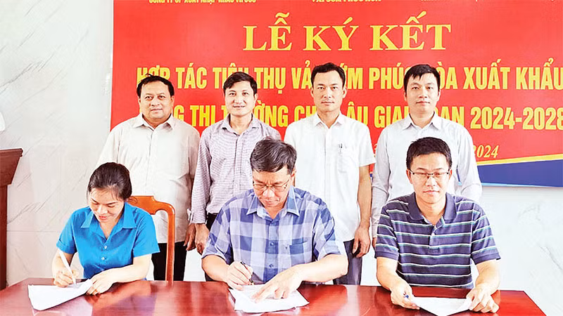 Ký kết hợp tác tiêu thụ vải sớm Phúc Hòa vào thị trường châu Âu. (Ảnh HẢI VÂN)