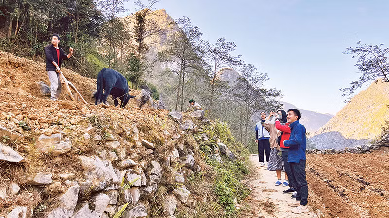 Sùng Mí Phìn dẫn khách du lịch trải nghiệm cuộc sống, sinh hoạt của người H’Mông.