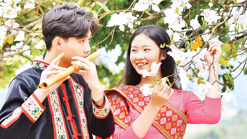 Hoa ban từ lâu đã đi vào đời sống văn hóa tinh thần của người dân Tây Bắc. Hoa ban từ lâu đã đi vào đời sống văn hóa tinh thần của người dân Tây Bắc.