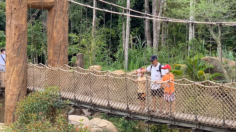 Du khách tham quan tại Safari Phú Quốc, Kiên Giang.