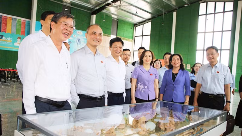 Lãnh đạo tỉnh Hậu Giang thăm một số doanh nghiệp trong Khu công nghệ số của tỉnh.