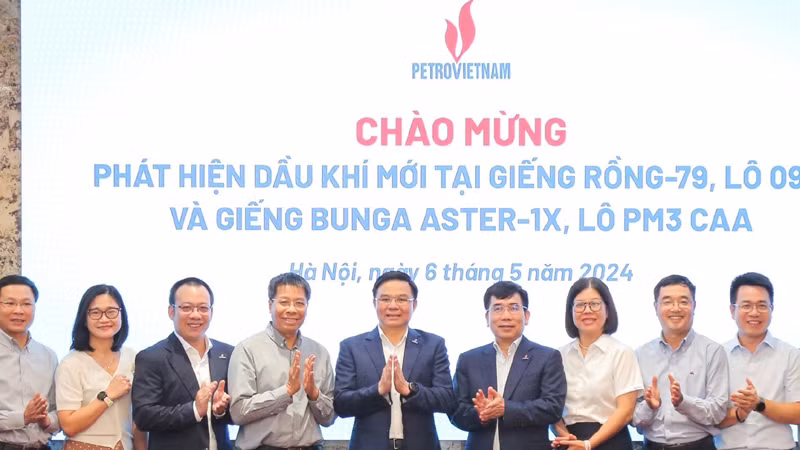 PVN công bố 2 phát hiện dầu khí mới tại mỏ Rồng và mỏ Bunga Aster.