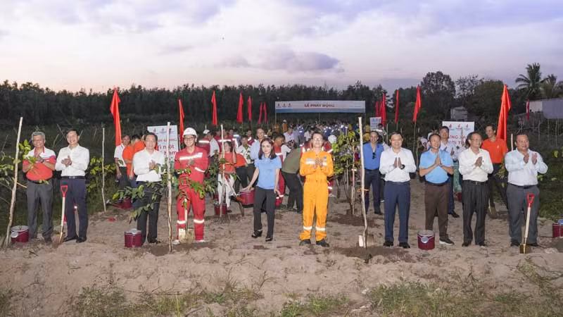 Lãnh đạo, cán bộ nhân viên PVN trồng cây xanh, góp phần phục hồi rừng trên đất ngập nước.